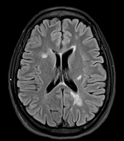 Description of Image 2